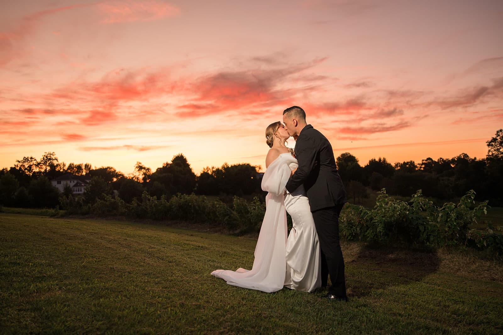 A couple shares a romantic kiss during sunset in a vineyard.