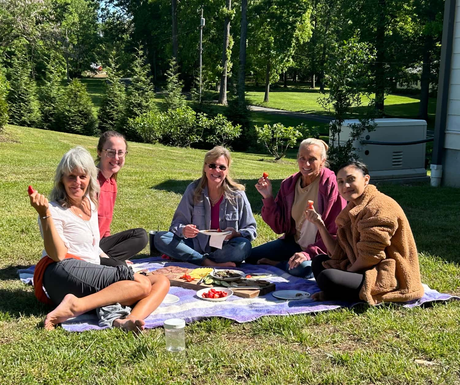 A group of five people enjoys a picnic on a blanket in a sunny outdoor setting.