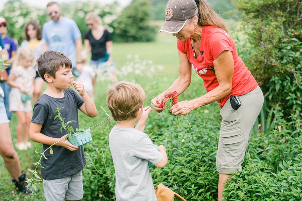 A woman teaches two young boys about gardening in a lush, green outdoor setting.
